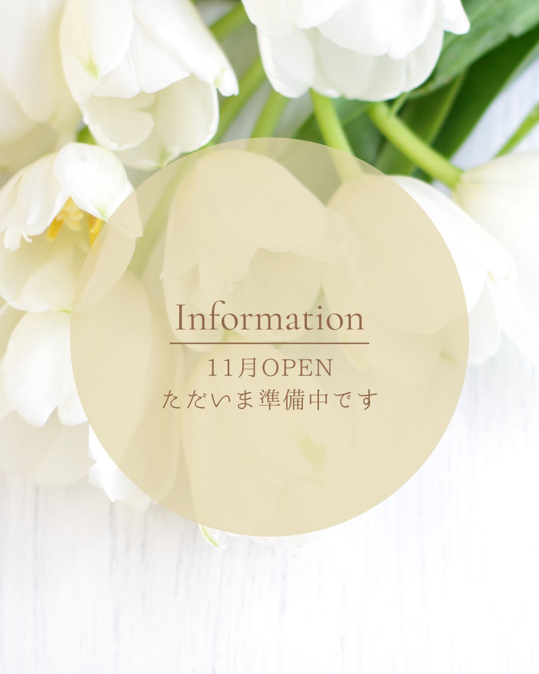 年齢肌や繰り返す肌荒れに、確かな結果を。 幹細胞プログラムで“生まれ変わる素肌”へ。